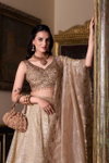 LNB1430 Gold Crush Plain Lehenga With Blouse And Dupatta Wholesale In India